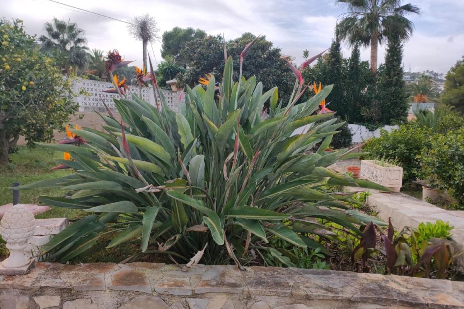 Resale - Villa - Jávea - Javea