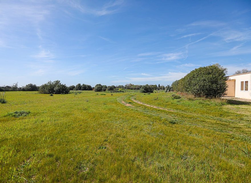 Resale - Villa - Llucmajor