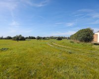 Resale - Villa - Llucmajor