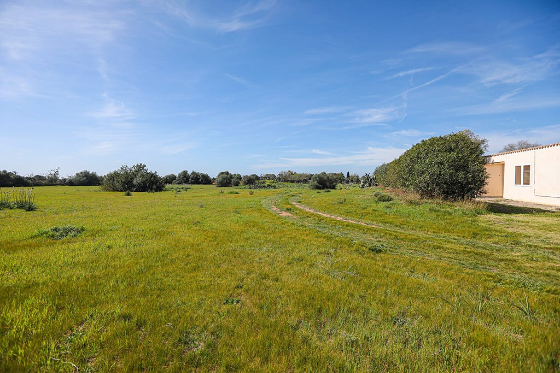 Resale - Villa - Llucmajor