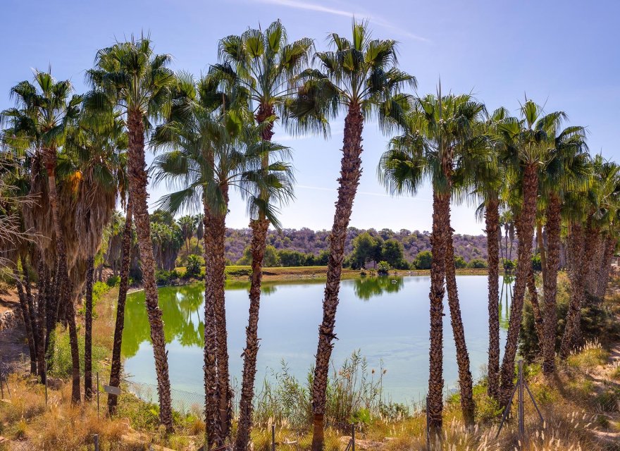 Resale - Villa - Orihuela Costa - Costa Blanca