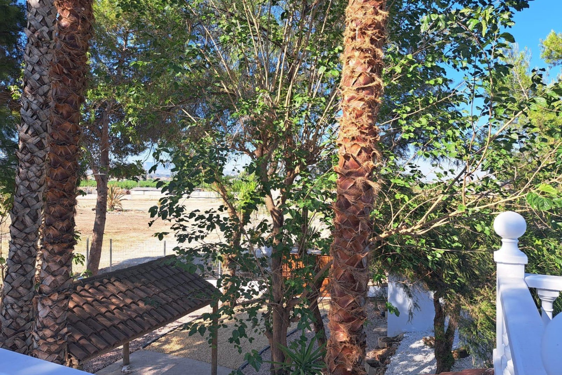 Resale - Villa - Orihuela Costa - Los Huertos