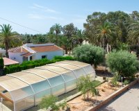 Resale - Villa - Orihuela Costa - Mil Palmeras