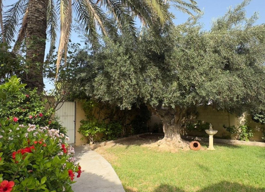 Resale - Villa - Orihuela Costa - Punta Prima