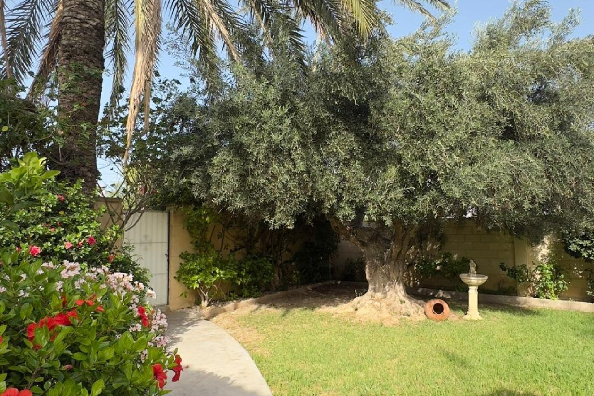 Resale - Villa - Orihuela Costa - Punta Prima