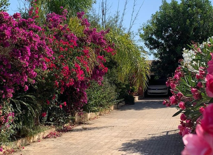 Resale - Villa - Palma de Mallorca - Marratxi