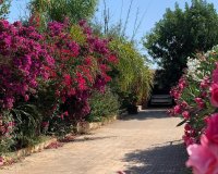 Resale - Villa - Palma de Mallorca - Marratxi