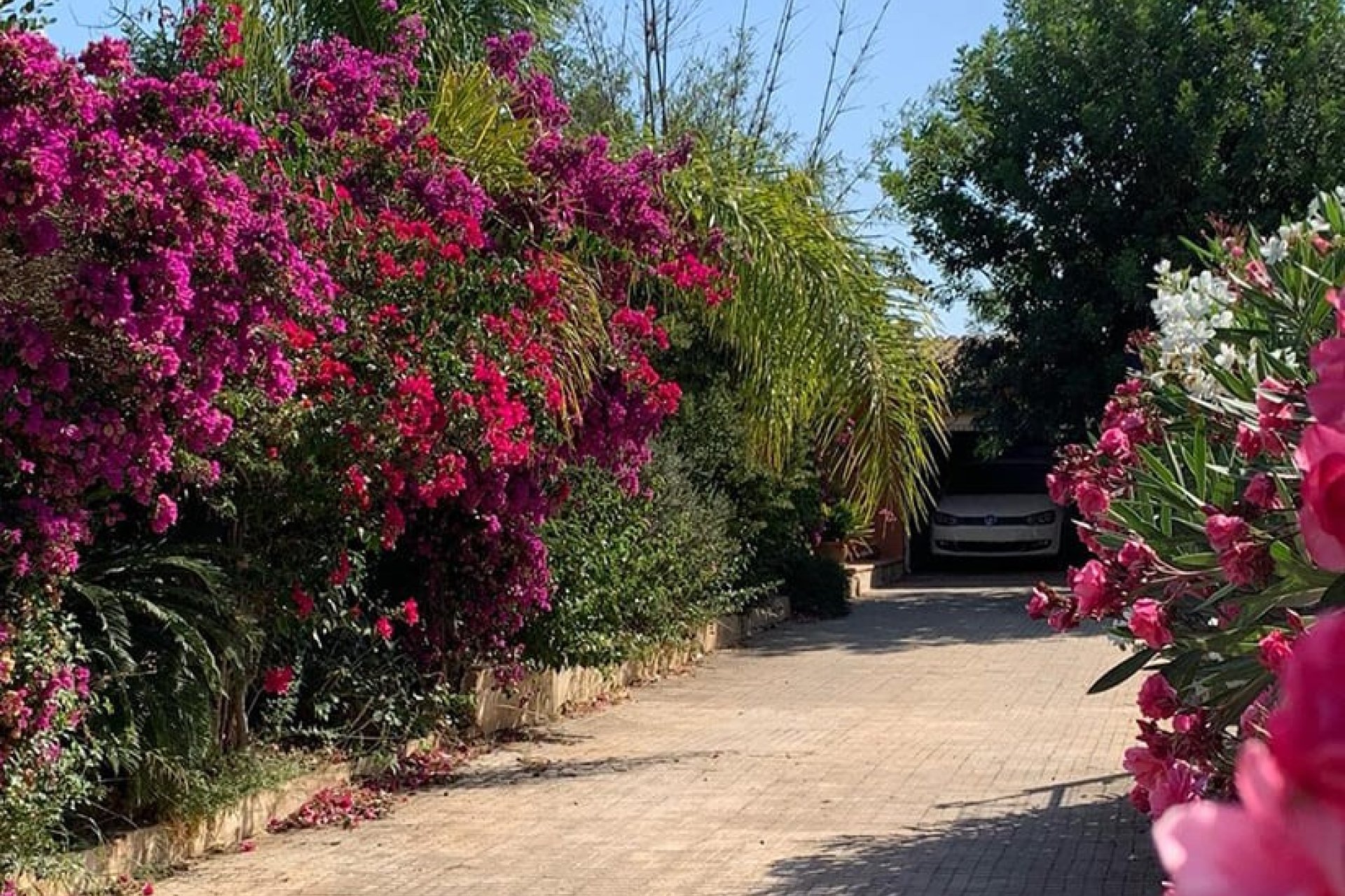 Resale - Villa - Palma de Mallorca - Marratxi