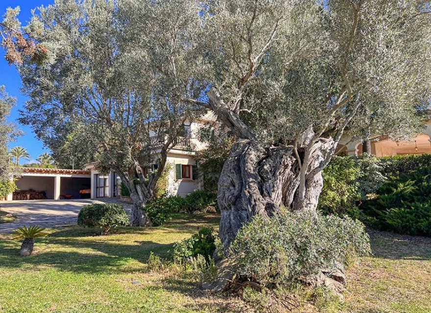 Resale - Villa - Palma de Mallorca - Portol