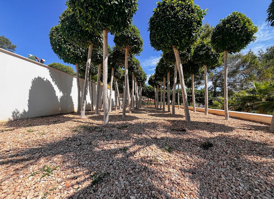 Resale - Villa - Palmanova