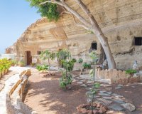 Resale - Villa - San Eugenio Alto