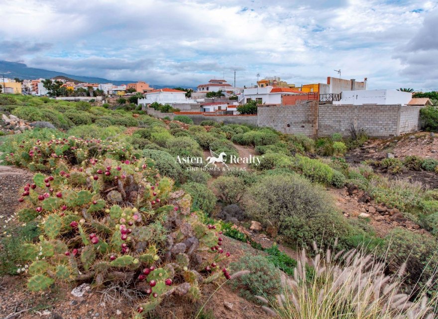 Resale - Villa - San Isidro de Abona - Los Cardones