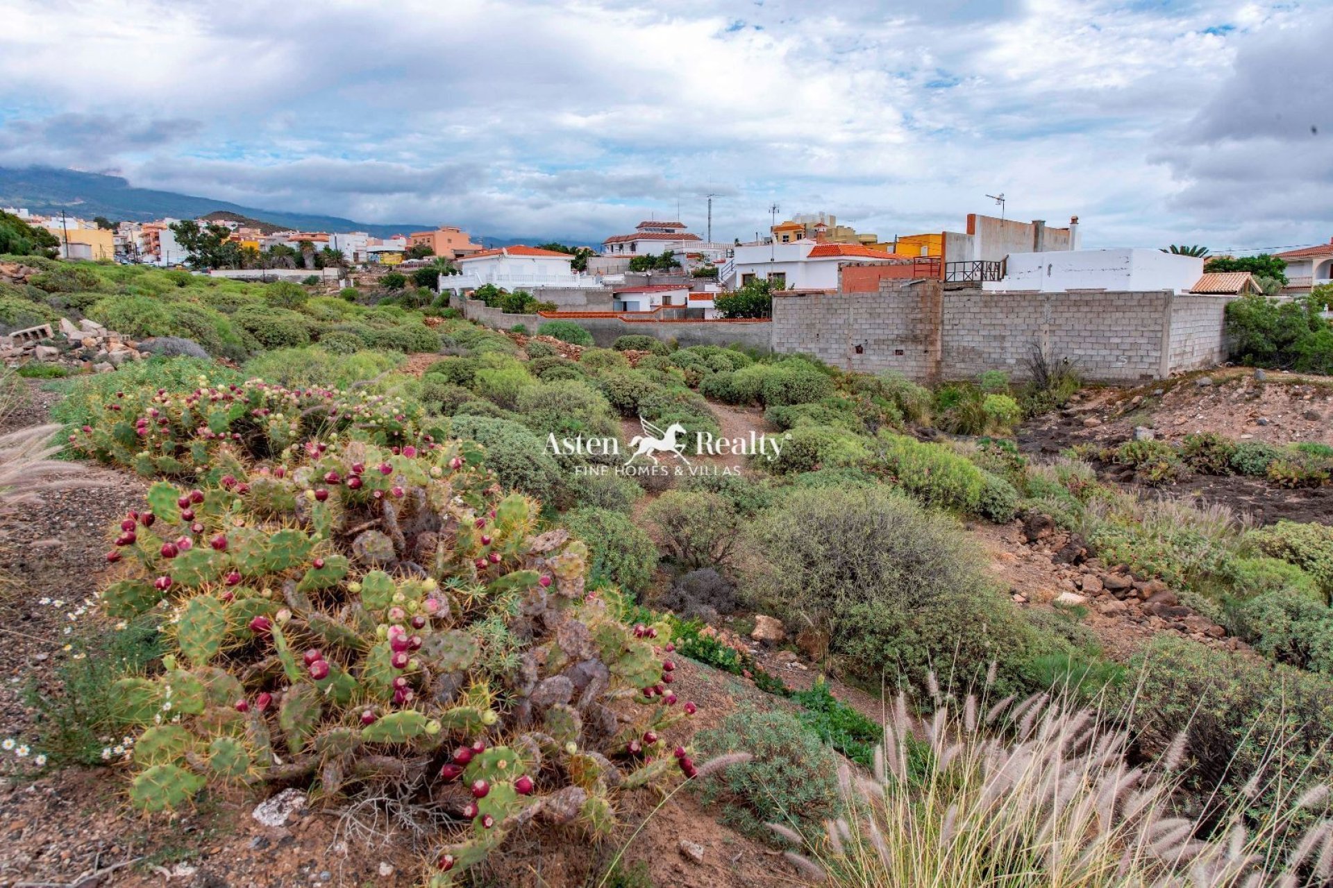 Resale - Villa - San Isidro de Abona - Los Cardones