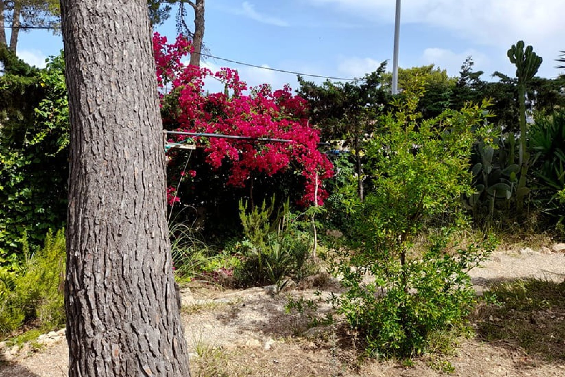 Resale - Villa - Santa Ponsa