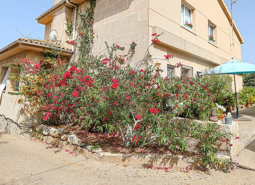 Resale - Villa - Santa Ponsa