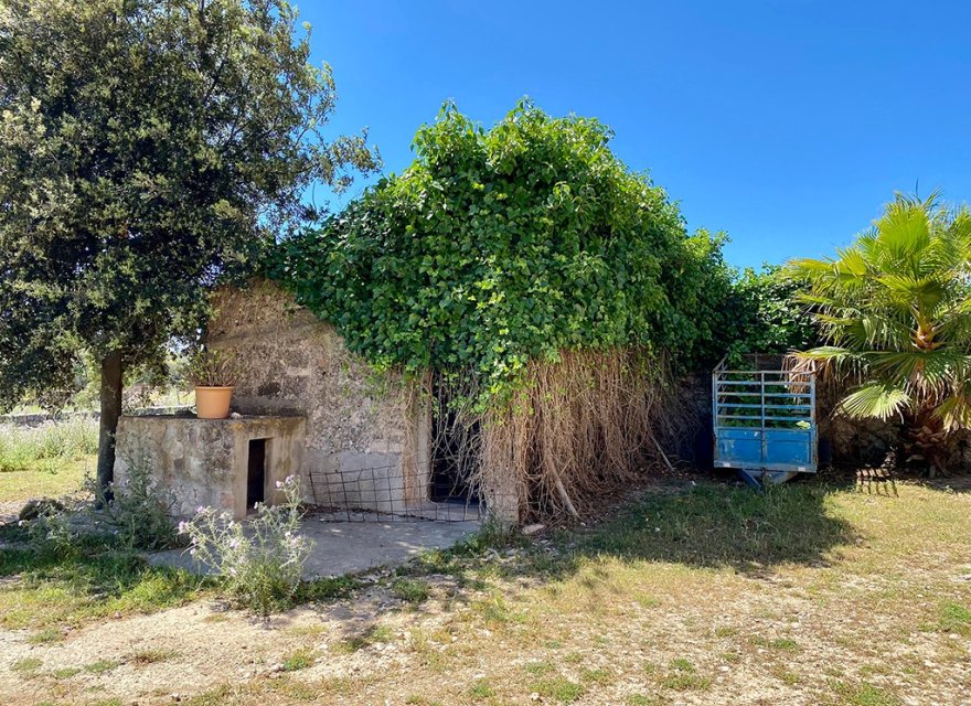 Resale - Villa - Sineu
