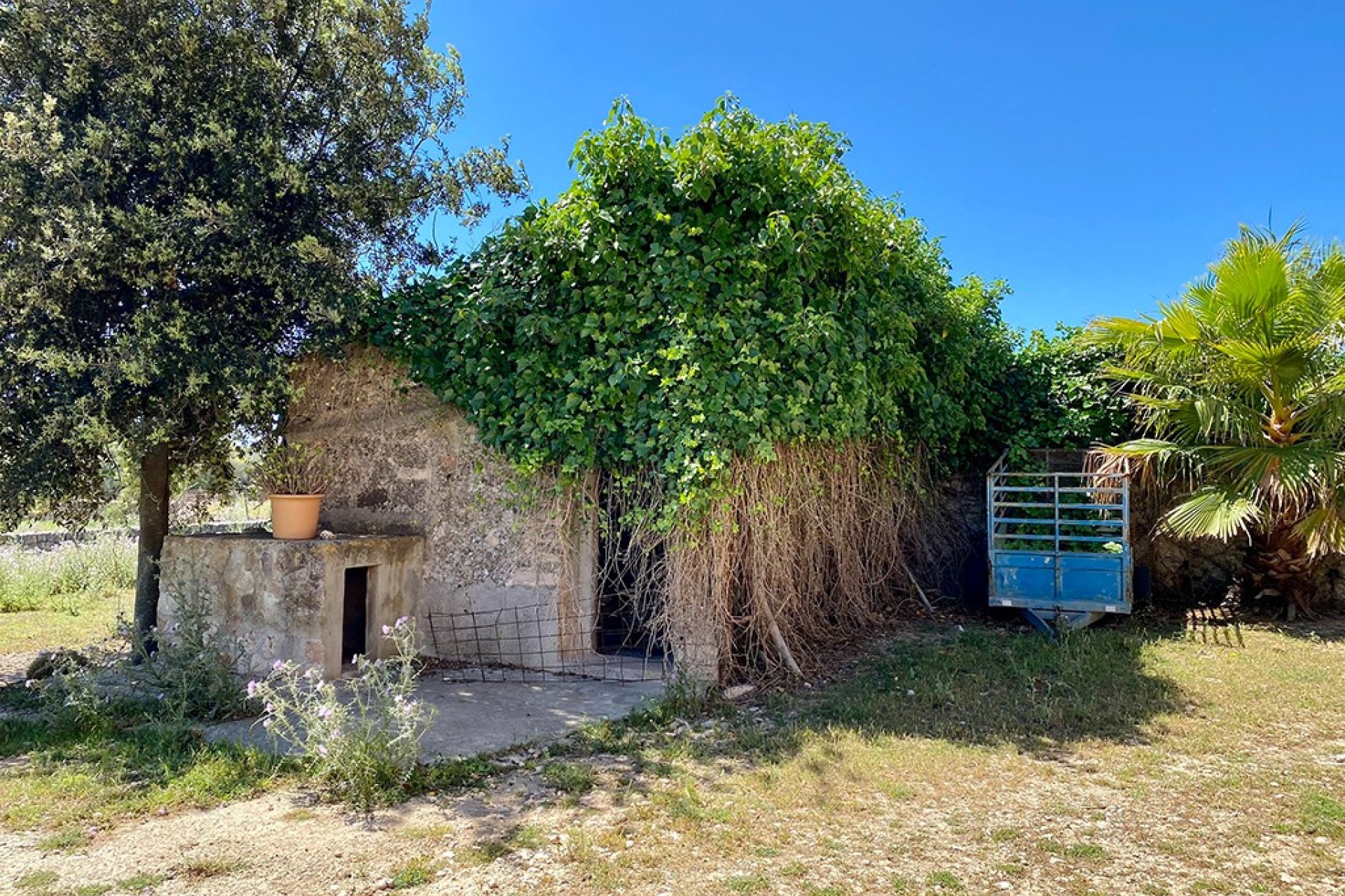 Resale - Villa - Sineu