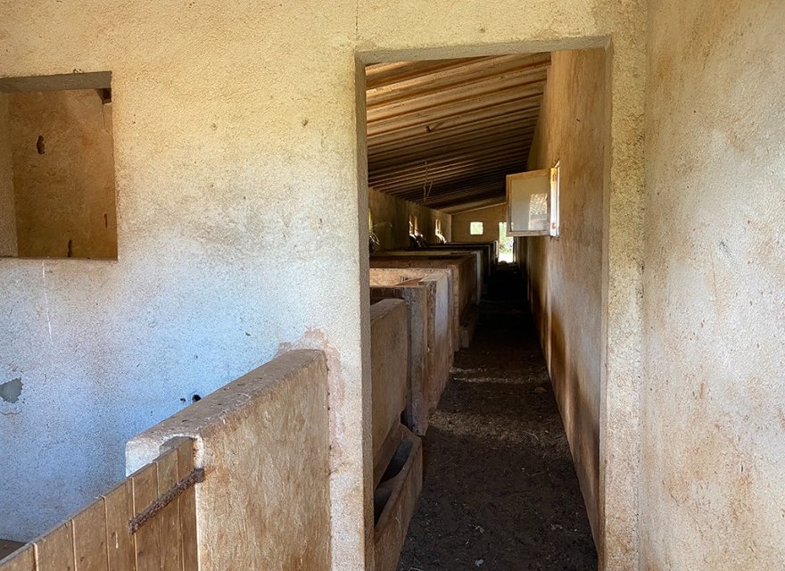 Resale - Villa - Sineu