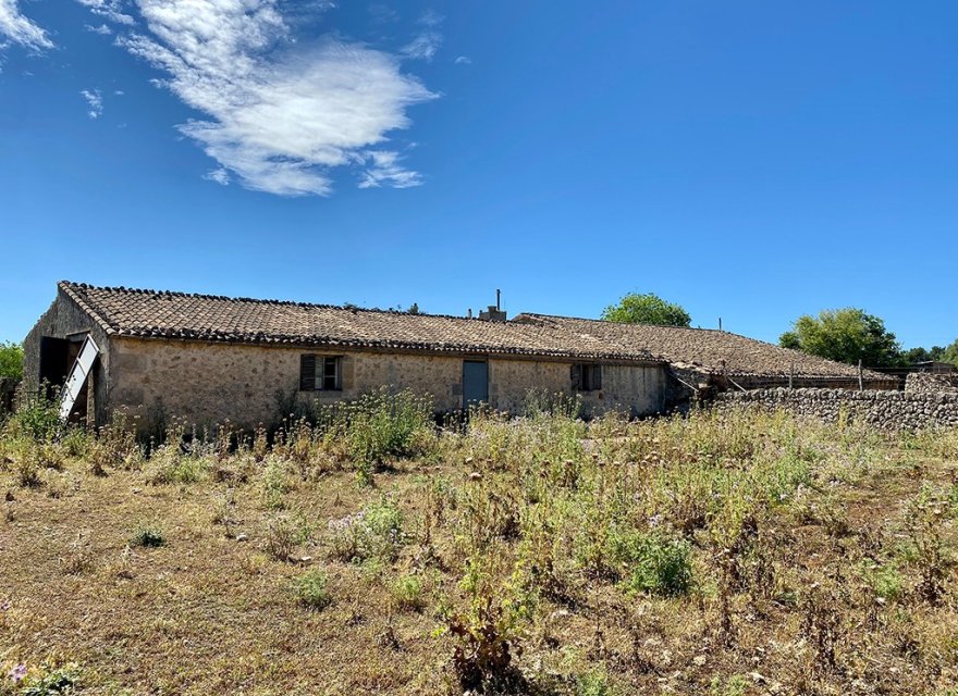 Resale - Villa - Sineu