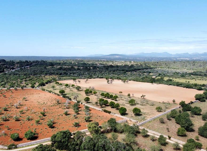 Resale - Villa - Sineu