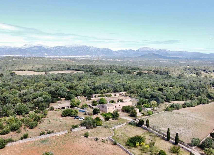 Resale - Villa - Sineu