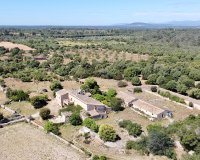 Resale - Villa - Sineu