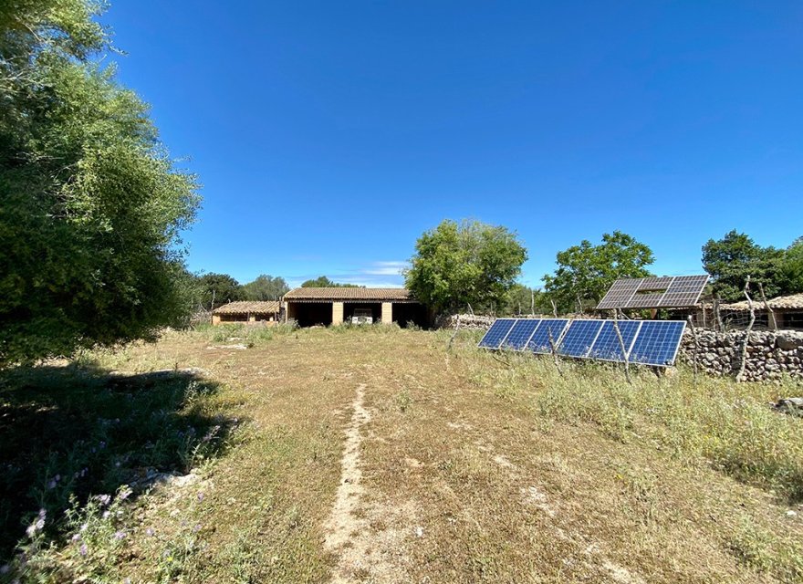 Resale - Villa - Sineu