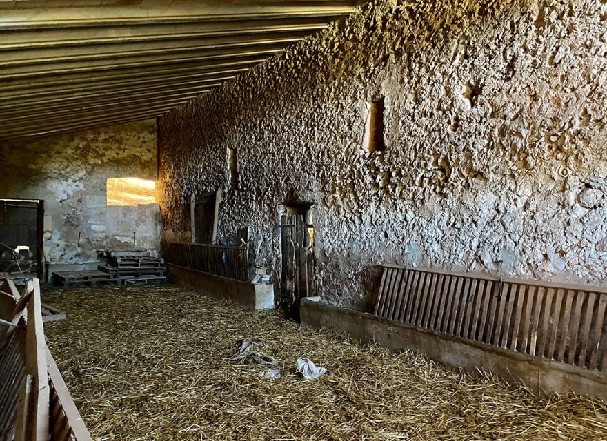 Resale - Villa - Sineu