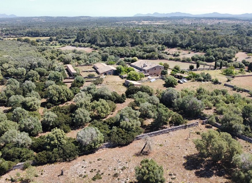 Resale - Villa - Sineu