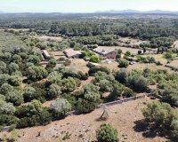 Resale - Villa - Sineu