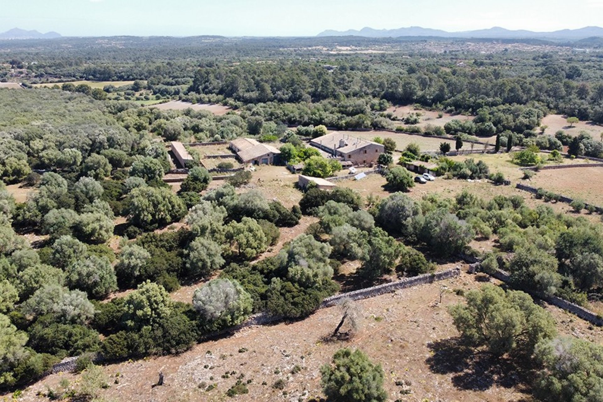 Resale - Villa - Sineu