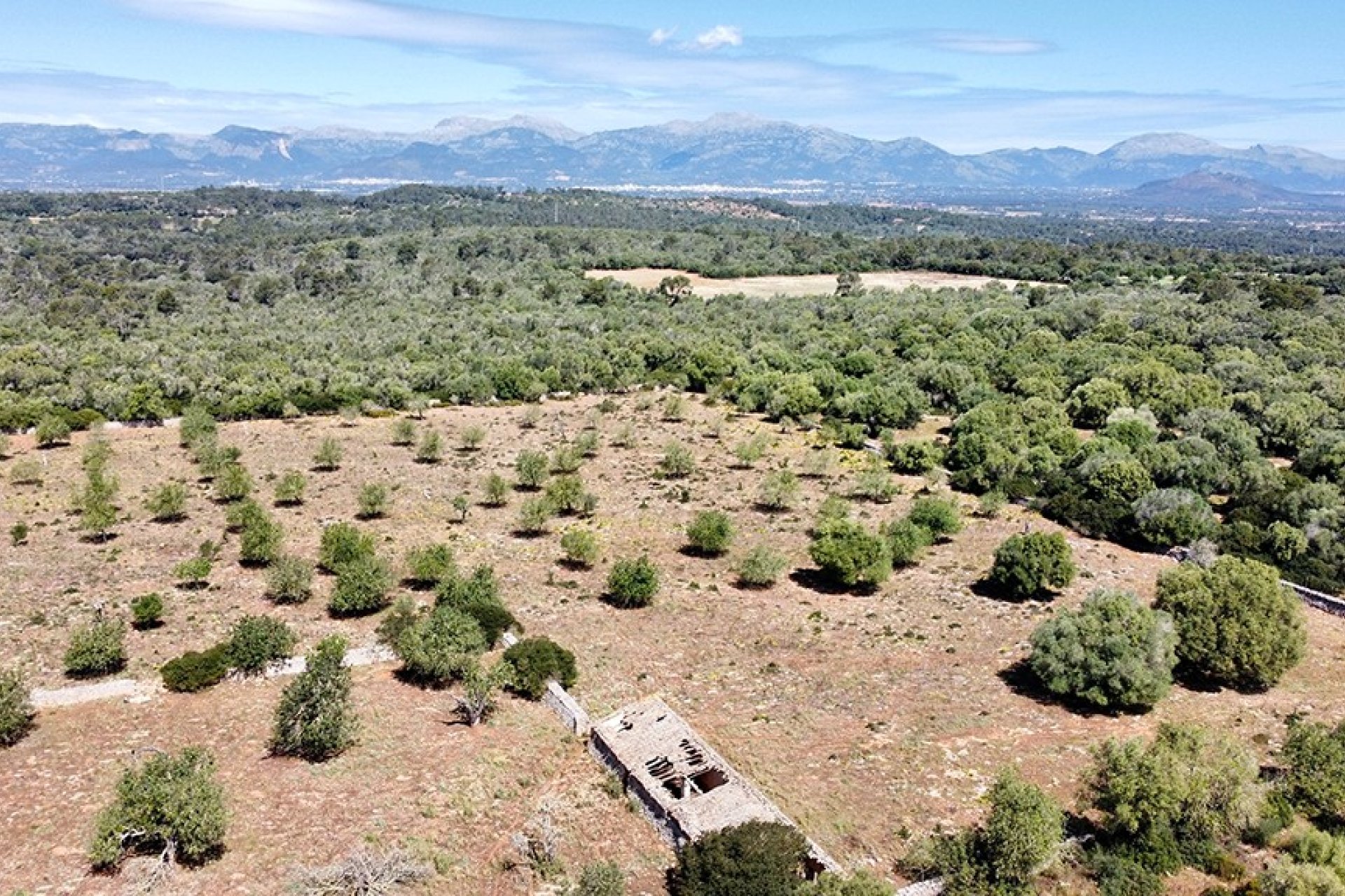 Resale - Villa - Sineu