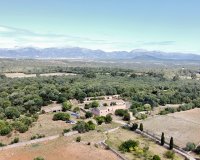 Resale - Villa - Sineu