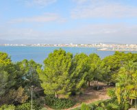 Resale - Villa - Son Veri Nou