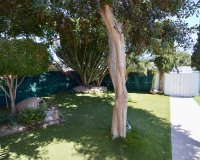 Resale - Villa - Torrevieja - Torreta