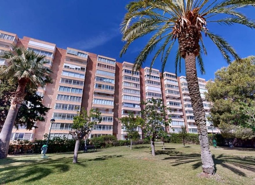 Reventa - Apartamento - Alicante - Alicante (San Juan)