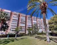 Reventa - Apartamento - Alicante - Alicante (San Juan)