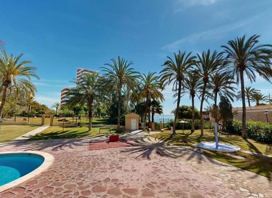 Reventa - Apartamento - Alicante - Alicante (San Juan)