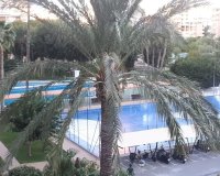 Reventa - Apartamento - Alicante - Alicante (San Juan)