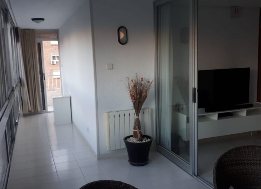 Reventa - Apartamento - Alicante - Alicante (San Juan)