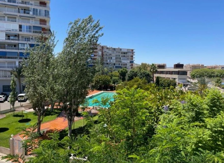 Reventa - Apartamento - Alicante - Alicante (San Juan)