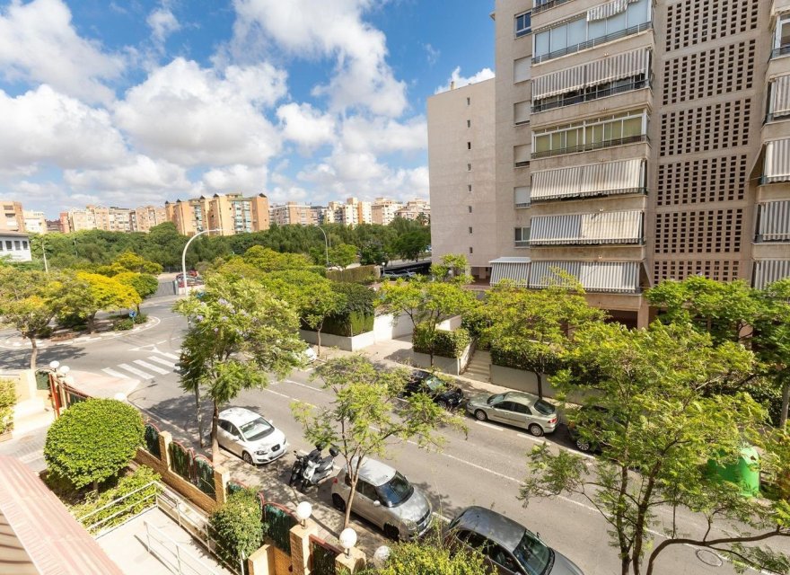 Reventa - Apartamento - Alicante - Babel