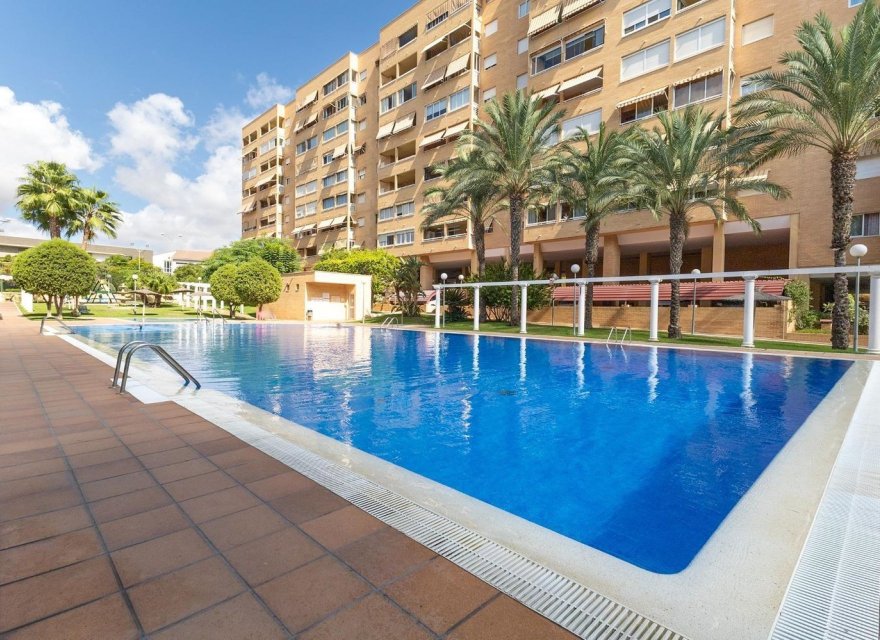 Reventa - Apartamento - Alicante - Babel