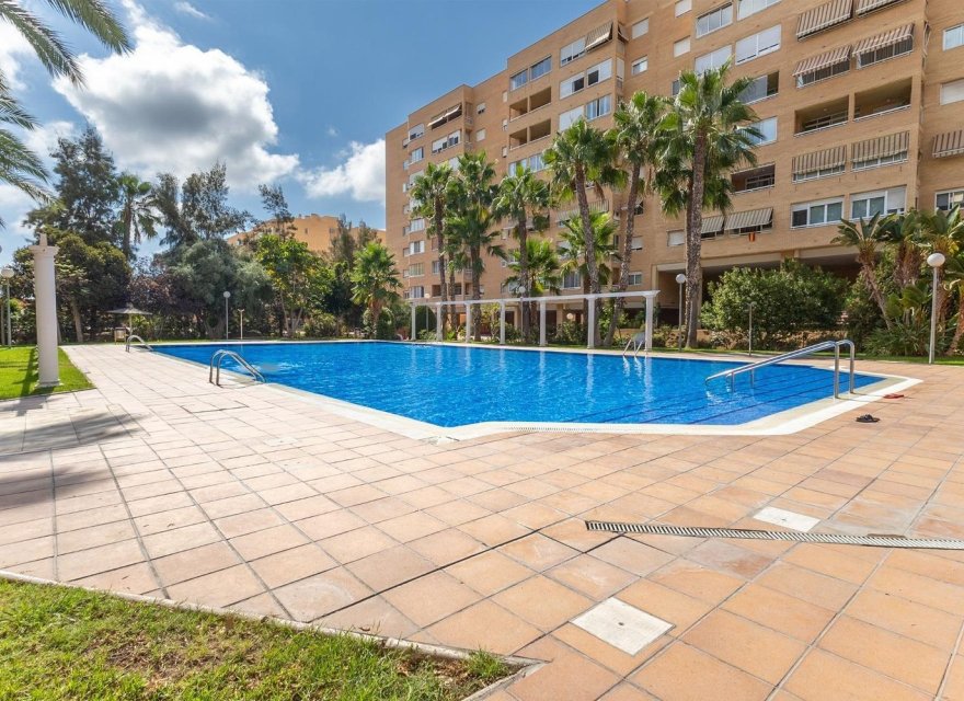 Reventa - Apartamento - Alicante - Babel