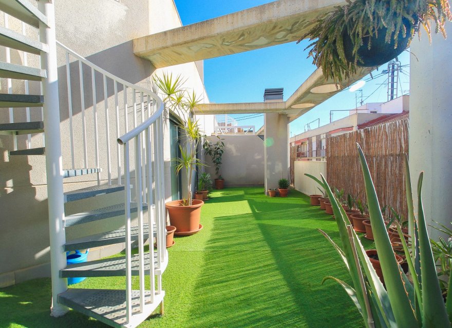 Reventa - Apartamento - Alicante - Costa Blanca