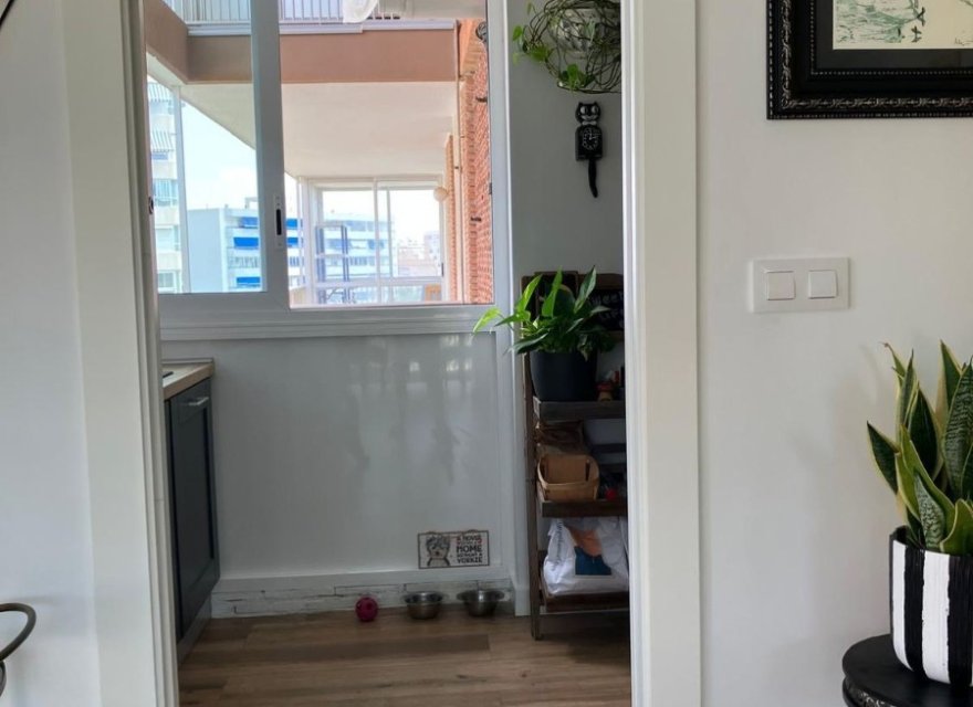 Reventa - Apartamento - Alicante (San Juan) - Cabo de las Huertas