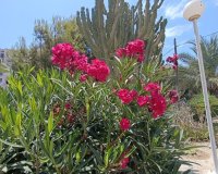 Reventa - Apartamento - Alicante (San Juan) - Cabo de las Huertas