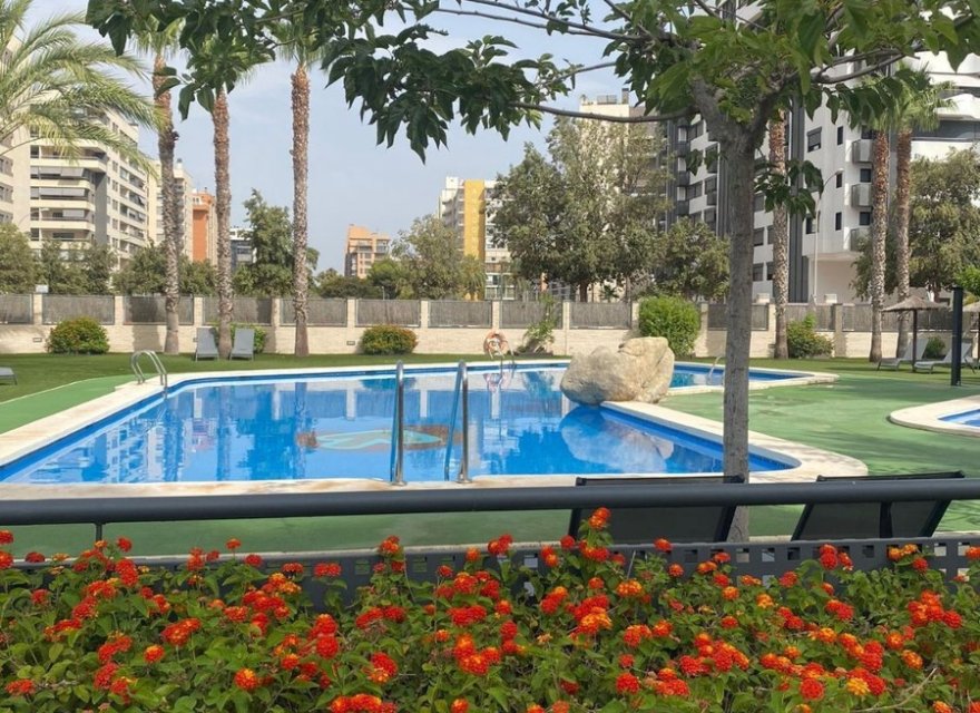 Reventa - Apartamento - Alicante - San Juan de Alicante