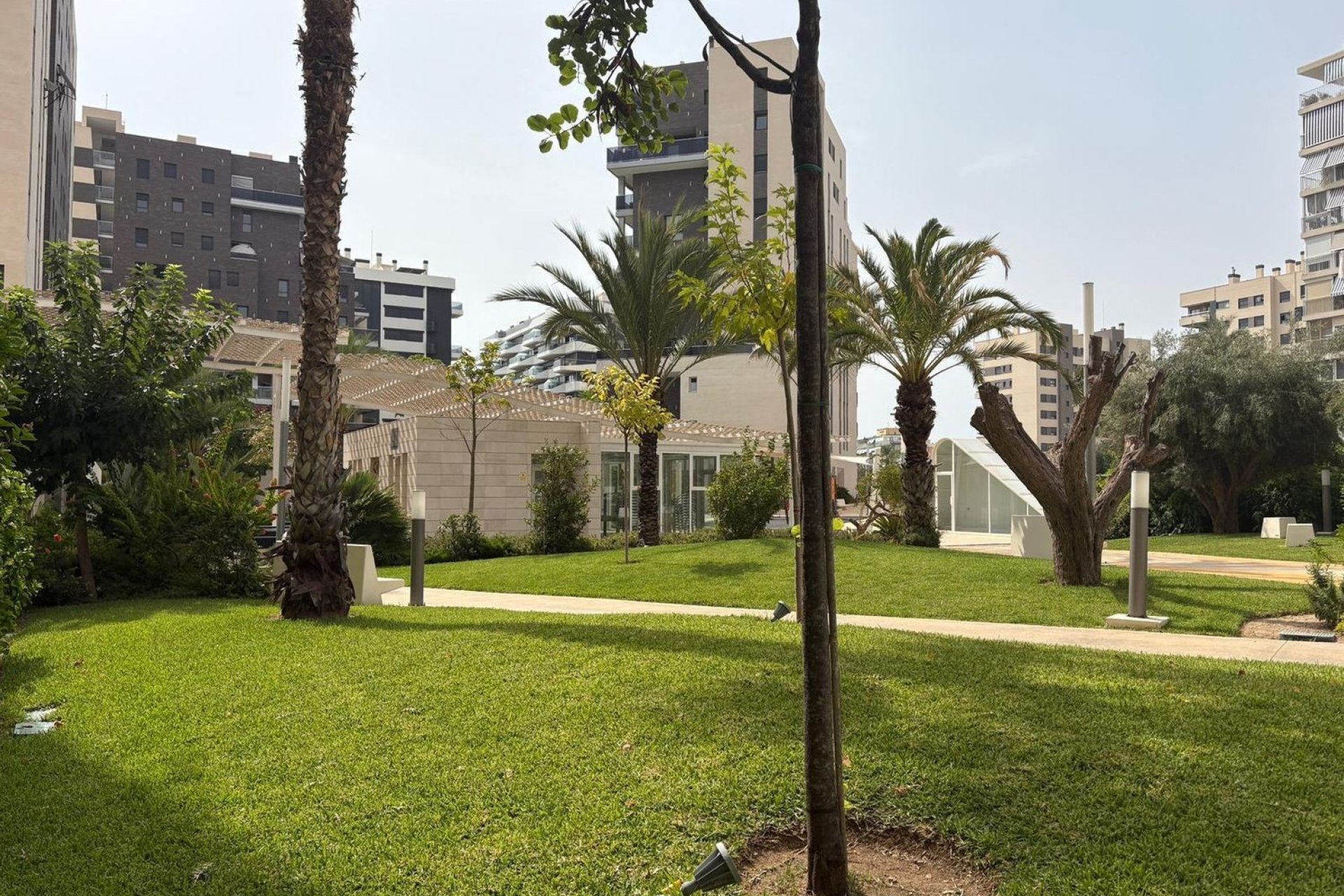 Reventa - Apartamento - Alicante - San Juan de Alicante