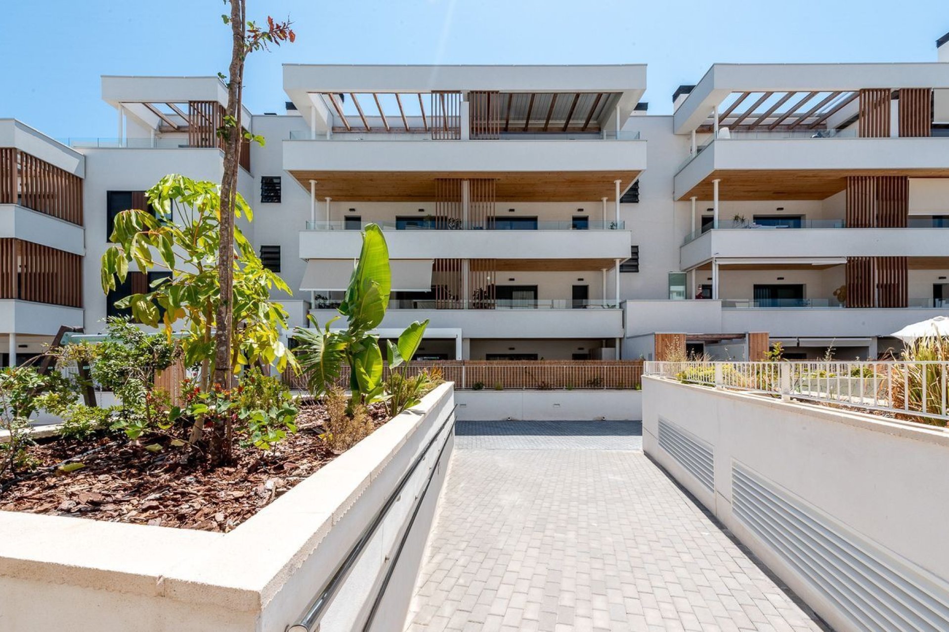 Reventa - Apartamento - Alicante (San Juan) - Franc Espinós